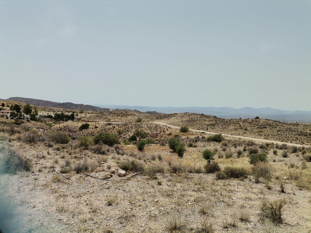 For sale of villa in Albox
