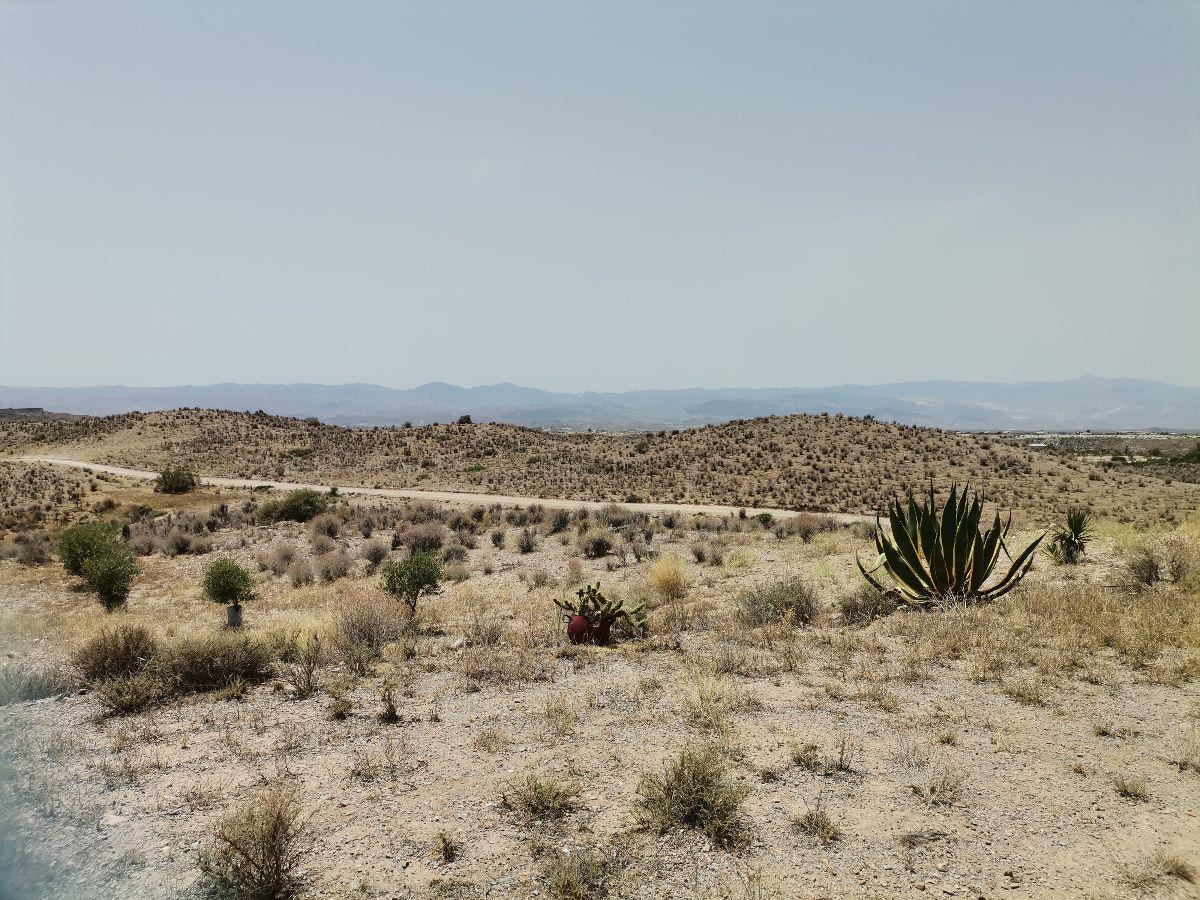 For sale of villa in Albox