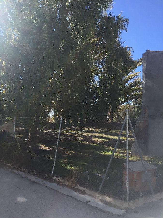 For sale of house in Chirivel