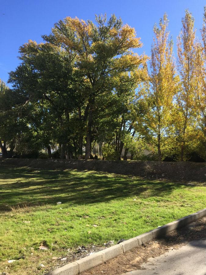 For sale of house in Chirivel