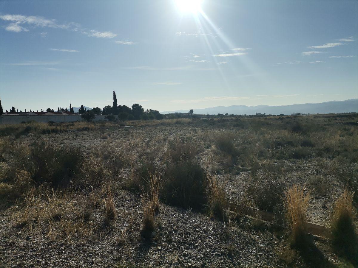 For sale of rural property in Albox