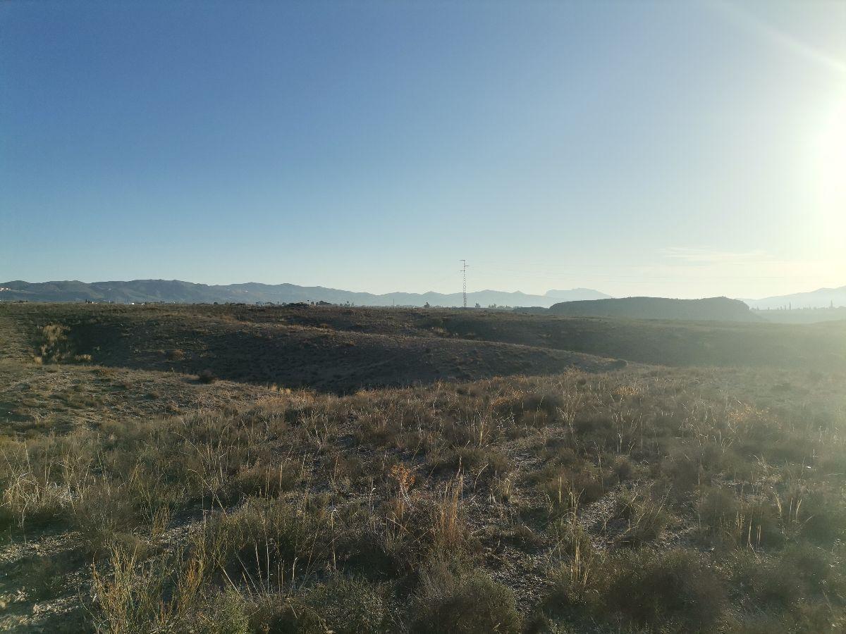 For sale of rural property in Albox