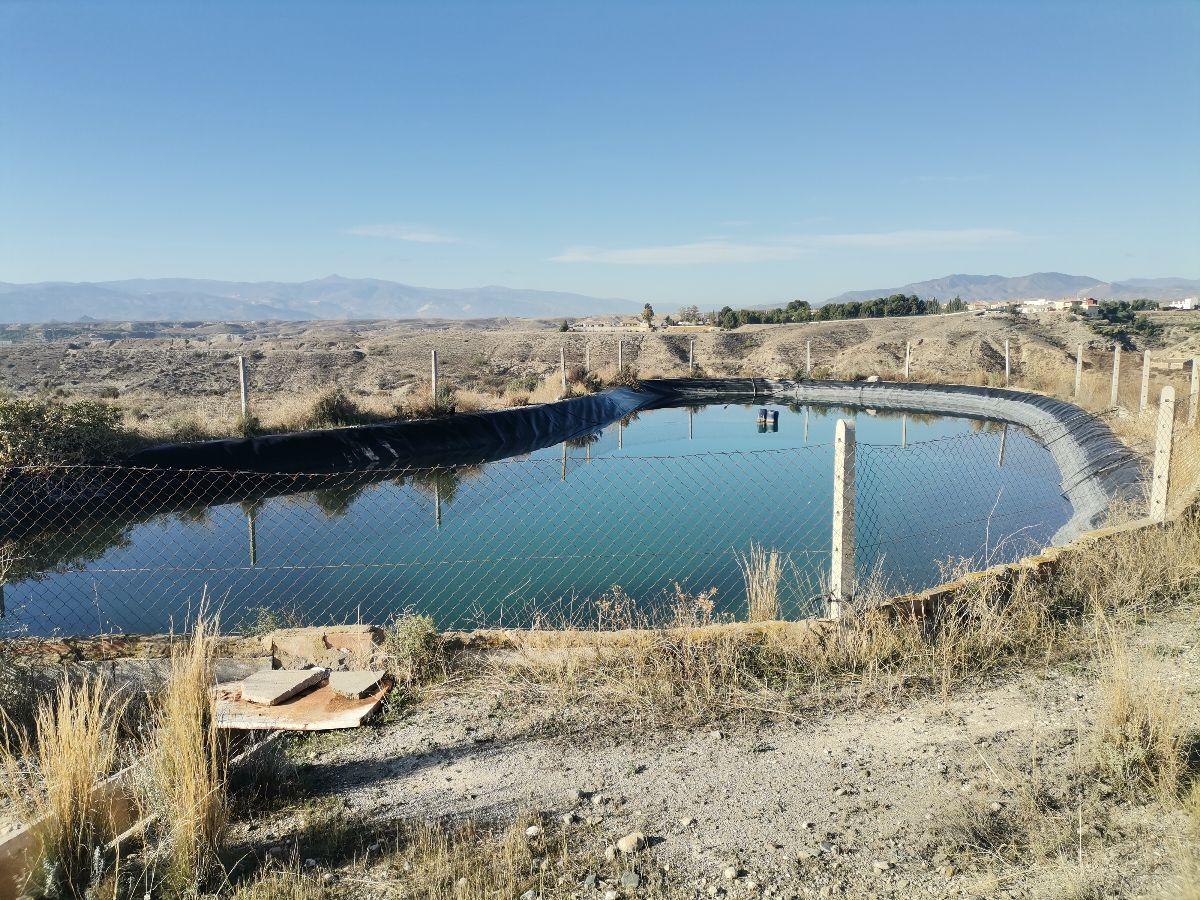 Venta de finca rústica en Albox