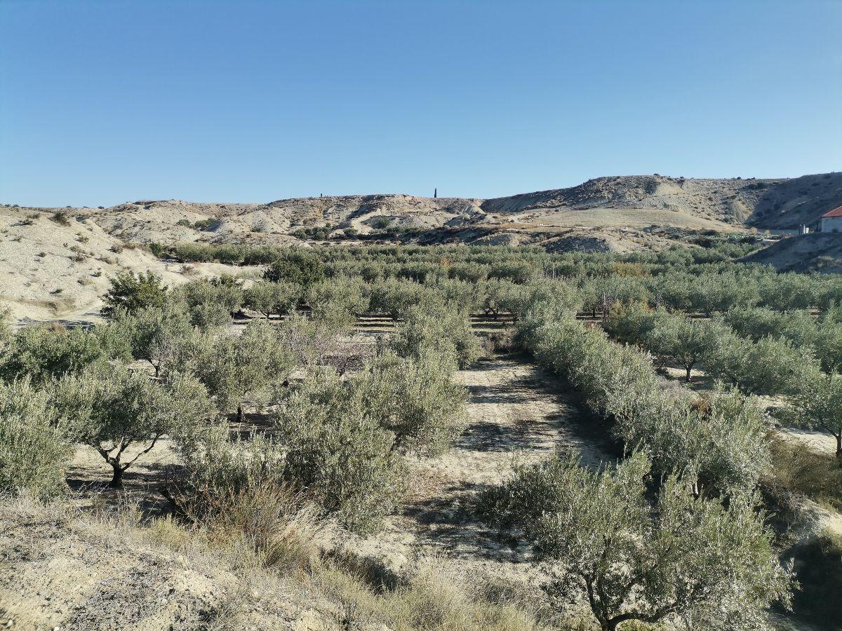 For sale of rural property in Albox