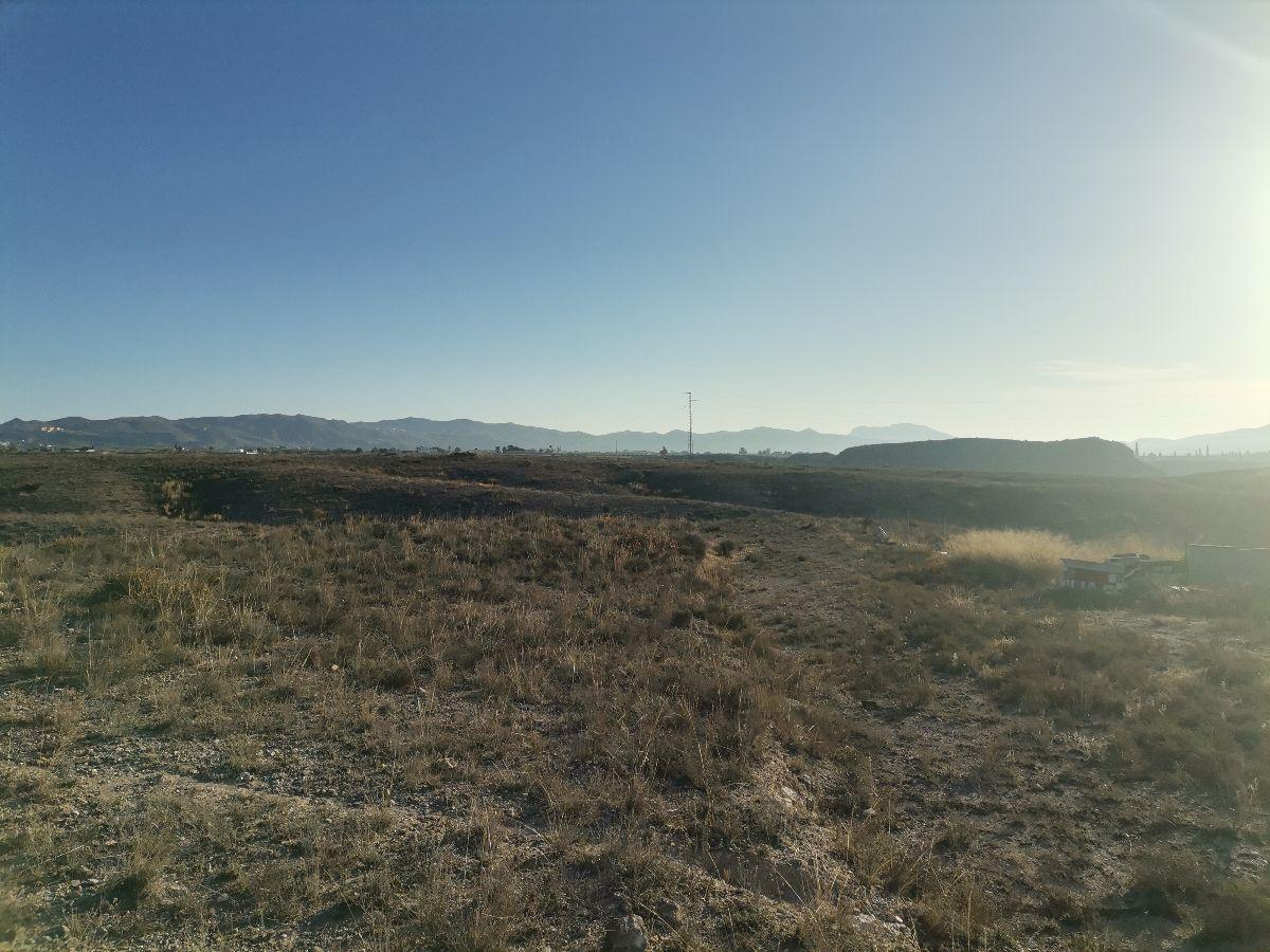 For sale of land in Albox