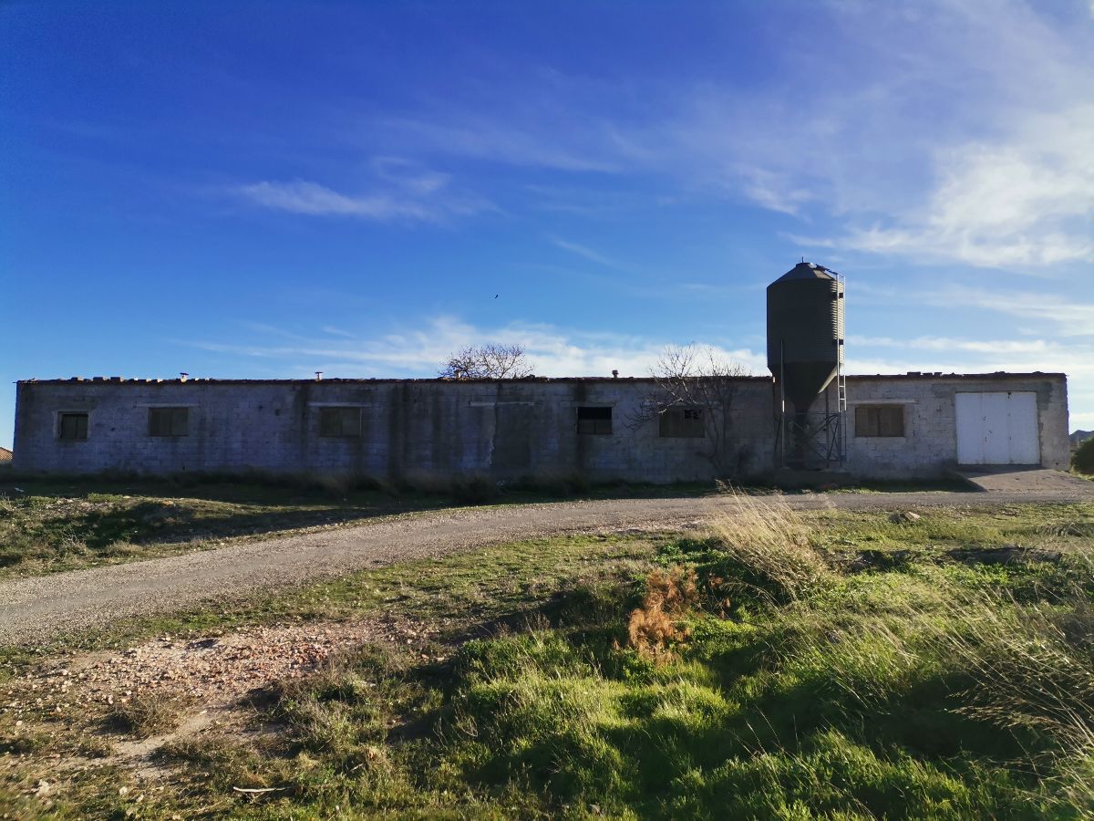For sale of industrial plant/warehouse in Huércal-Overa