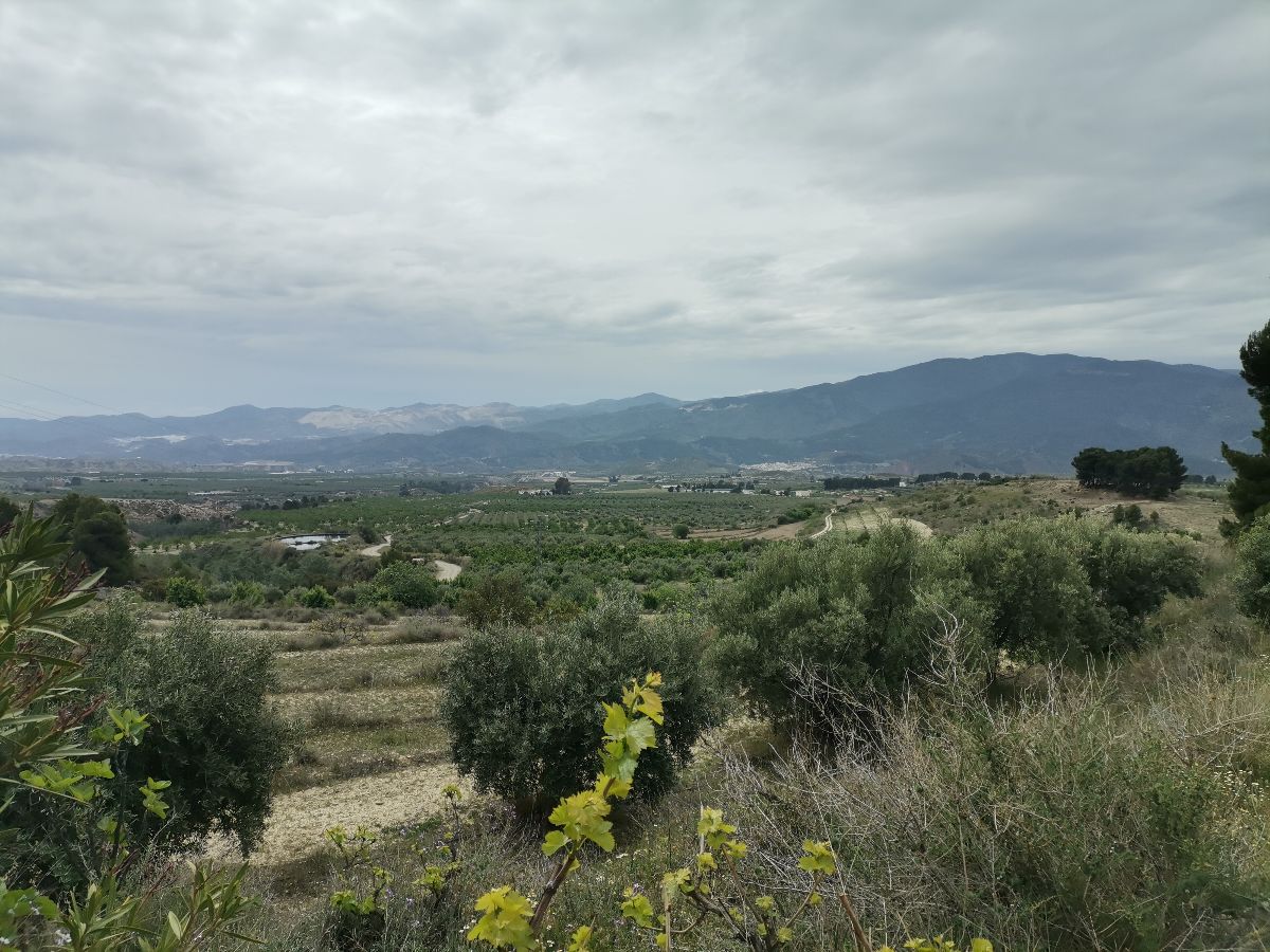 For sale of house in Urrácal