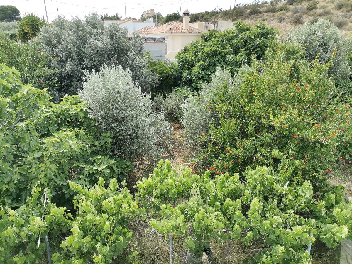 For sale of villa in Arboleas