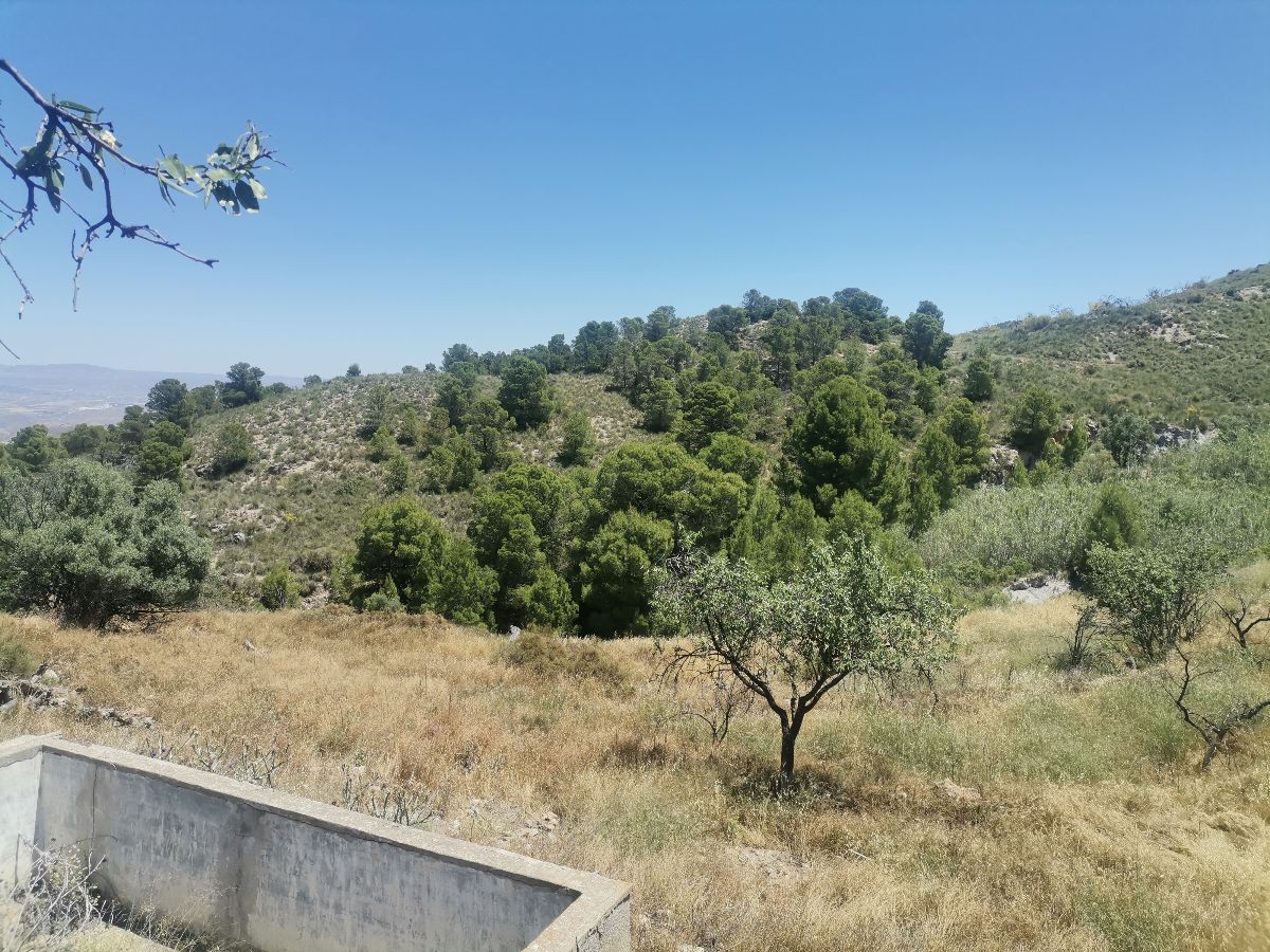 For sale of rural property in Cantoria