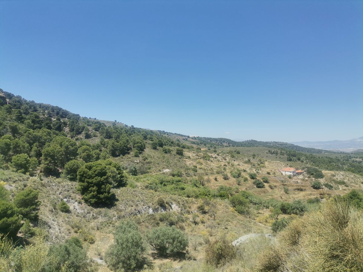 For sale of rural property in Cantoria