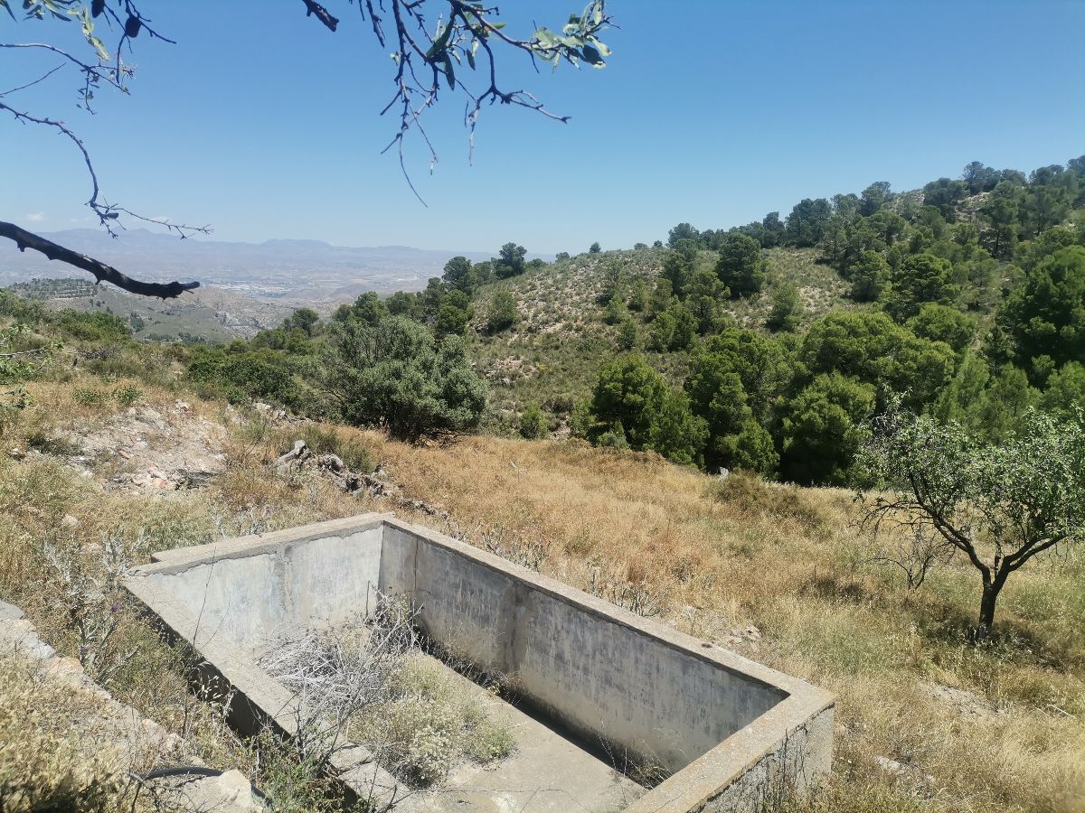 For sale of rural property in Cantoria