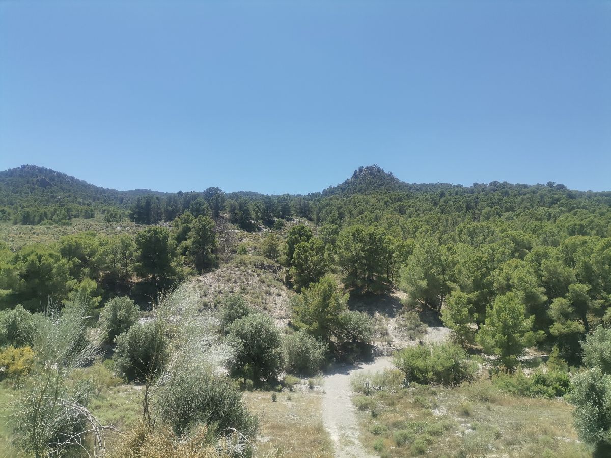 For sale of rural property in Cantoria