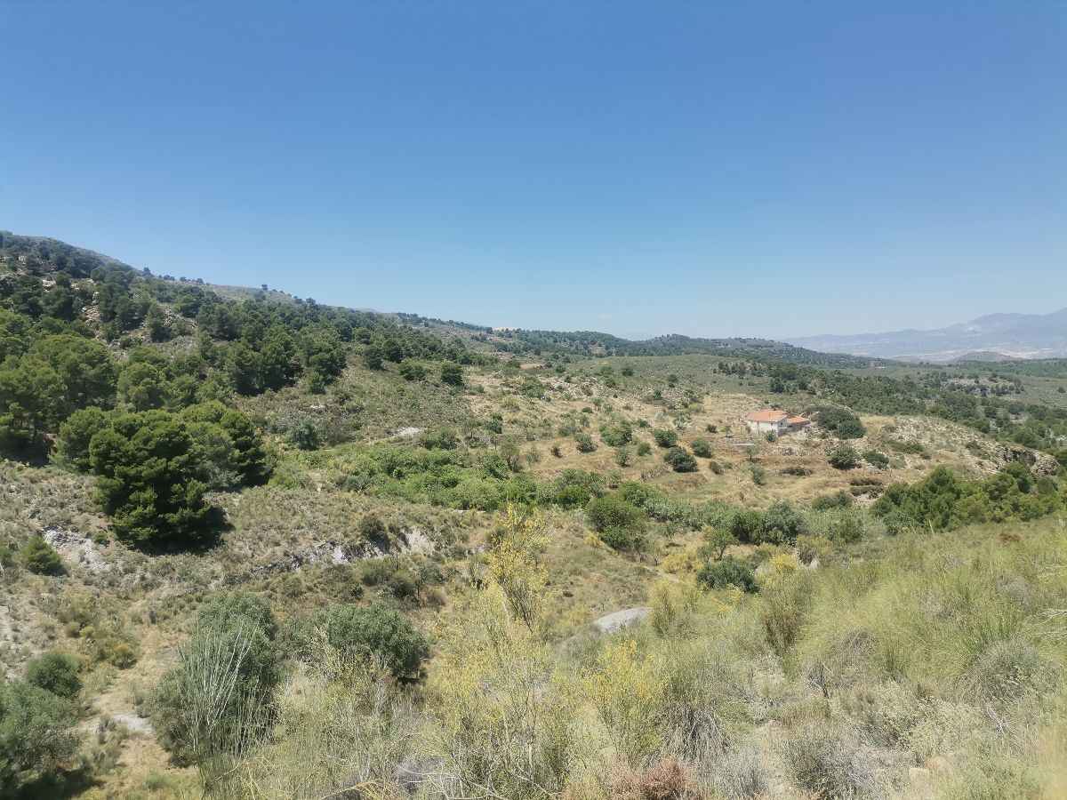For sale of rural property in Cantoria