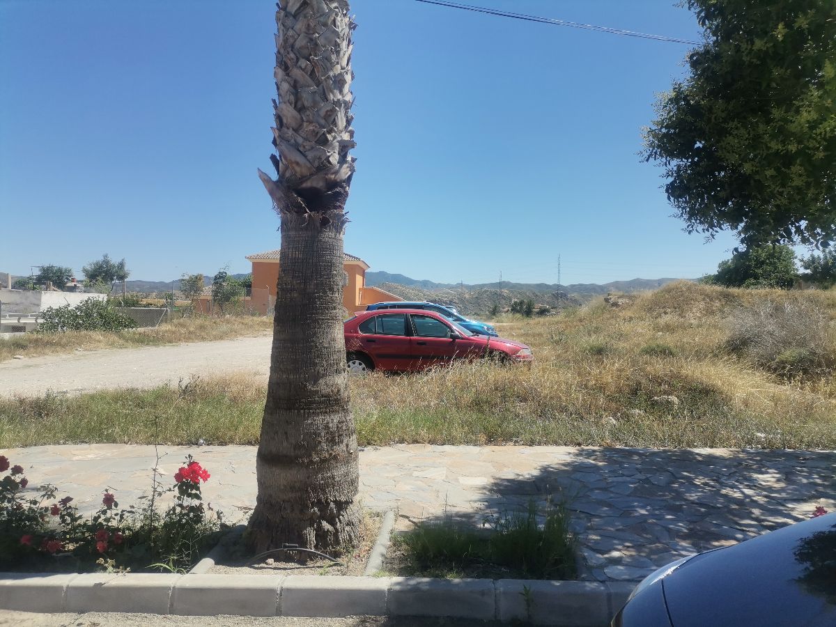 For sale of land in Arboleas