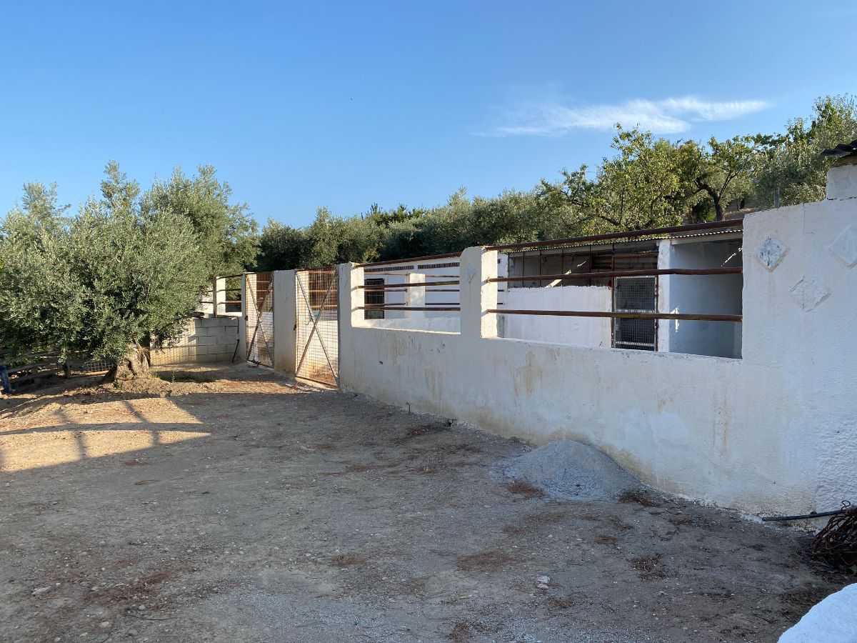 For sale of house in Vélez-Rubio