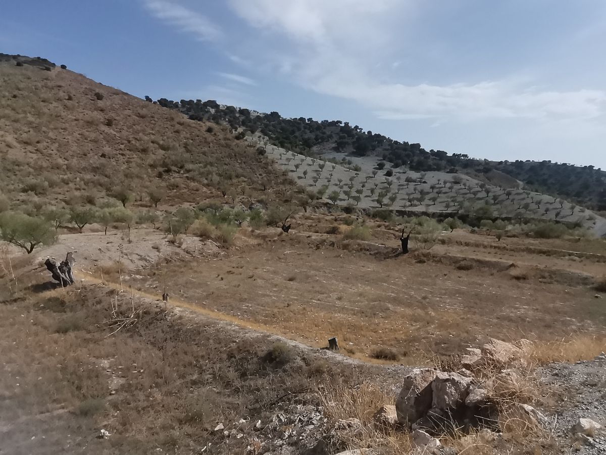 For sale of house in Taberno