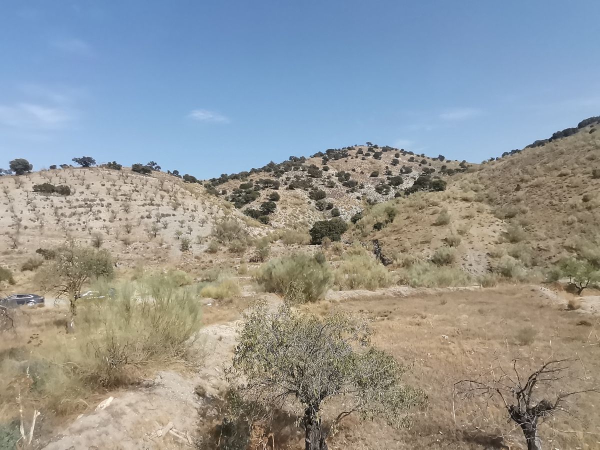 For sale of house in Taberno