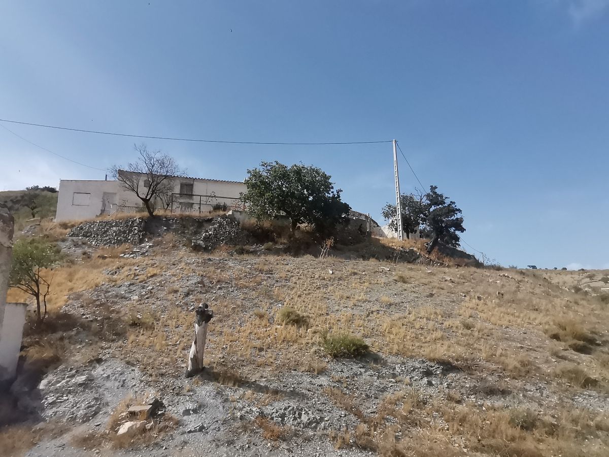 For sale of house in Taberno