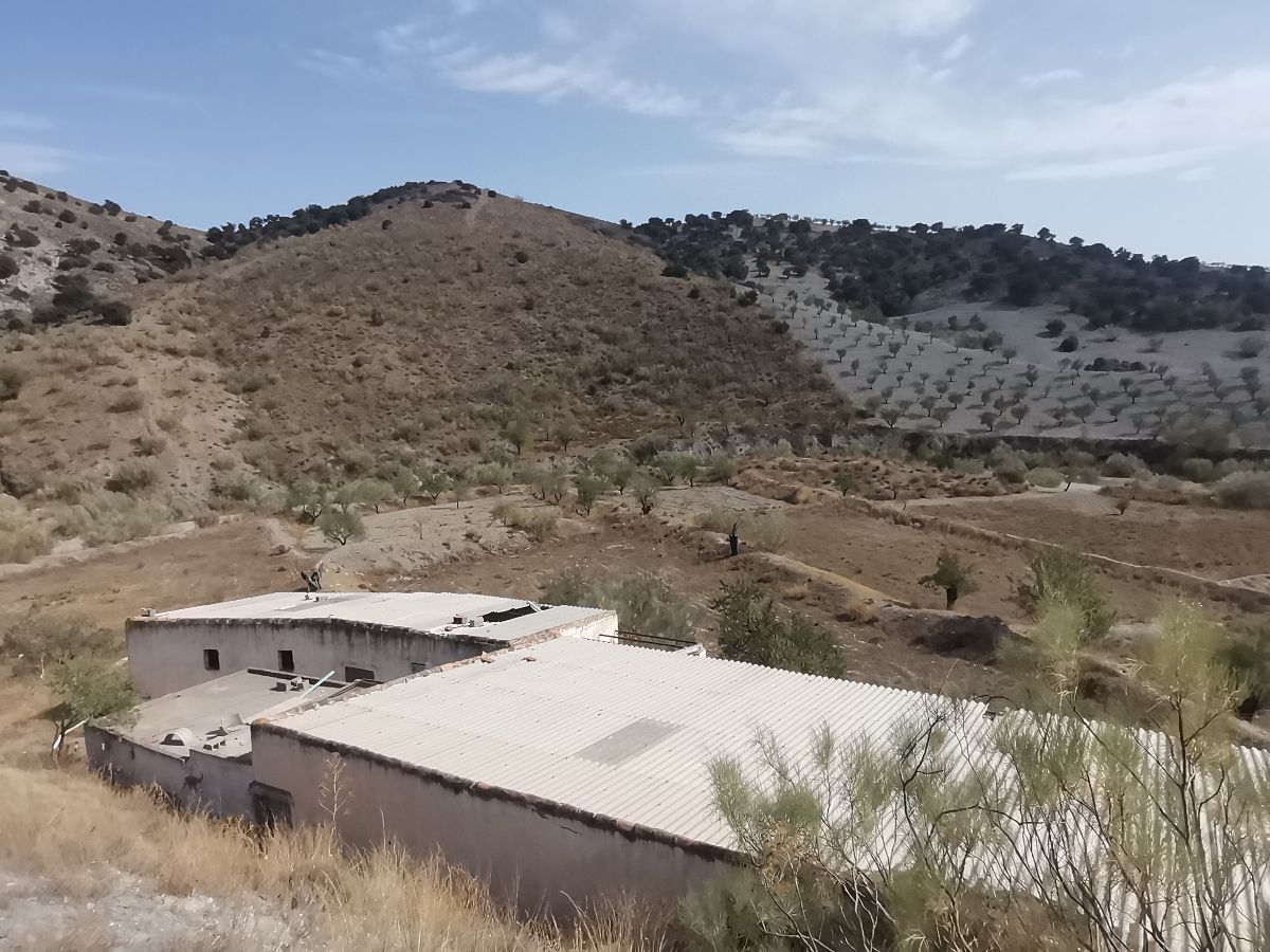 For sale of house in Taberno