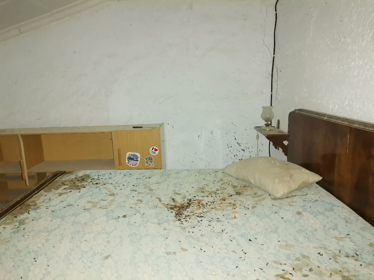 For sale of house in Taberno