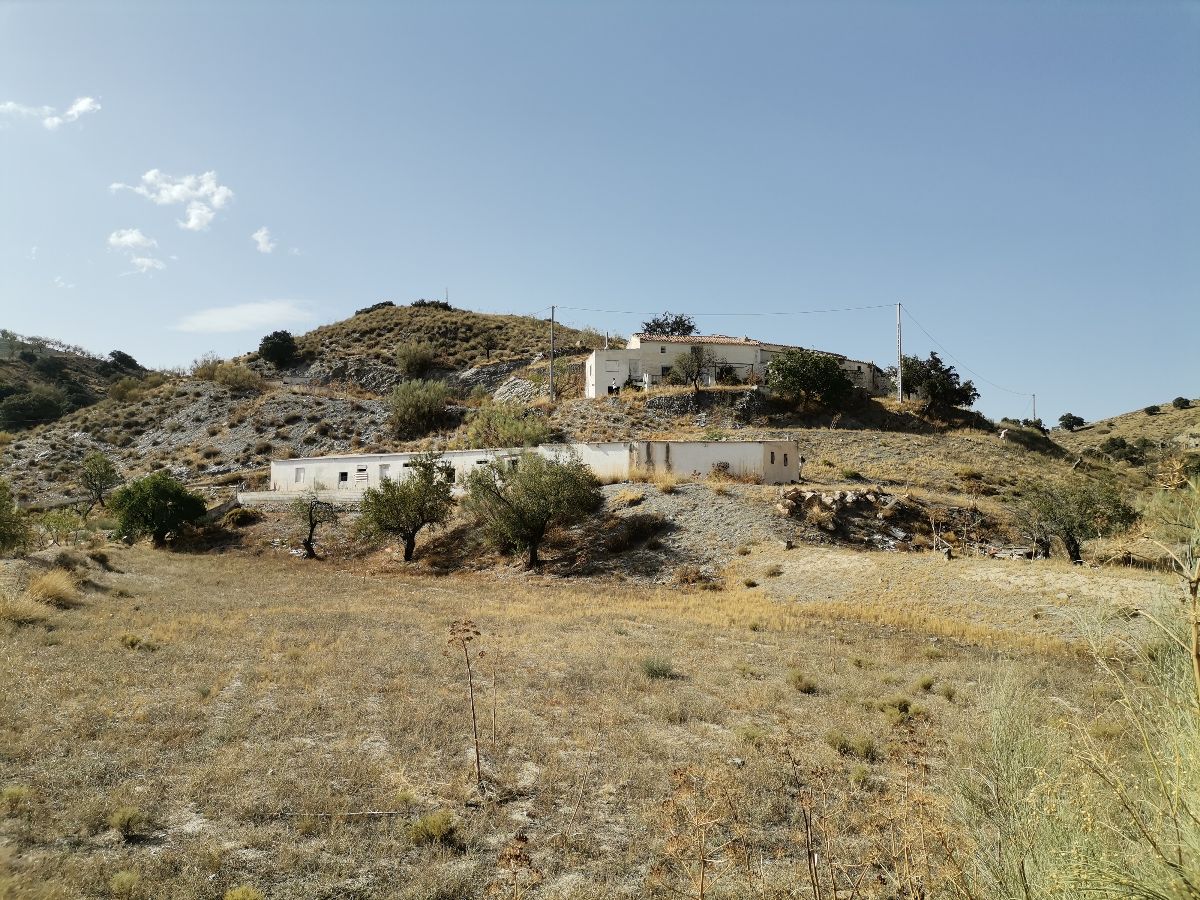 For sale of house in Taberno