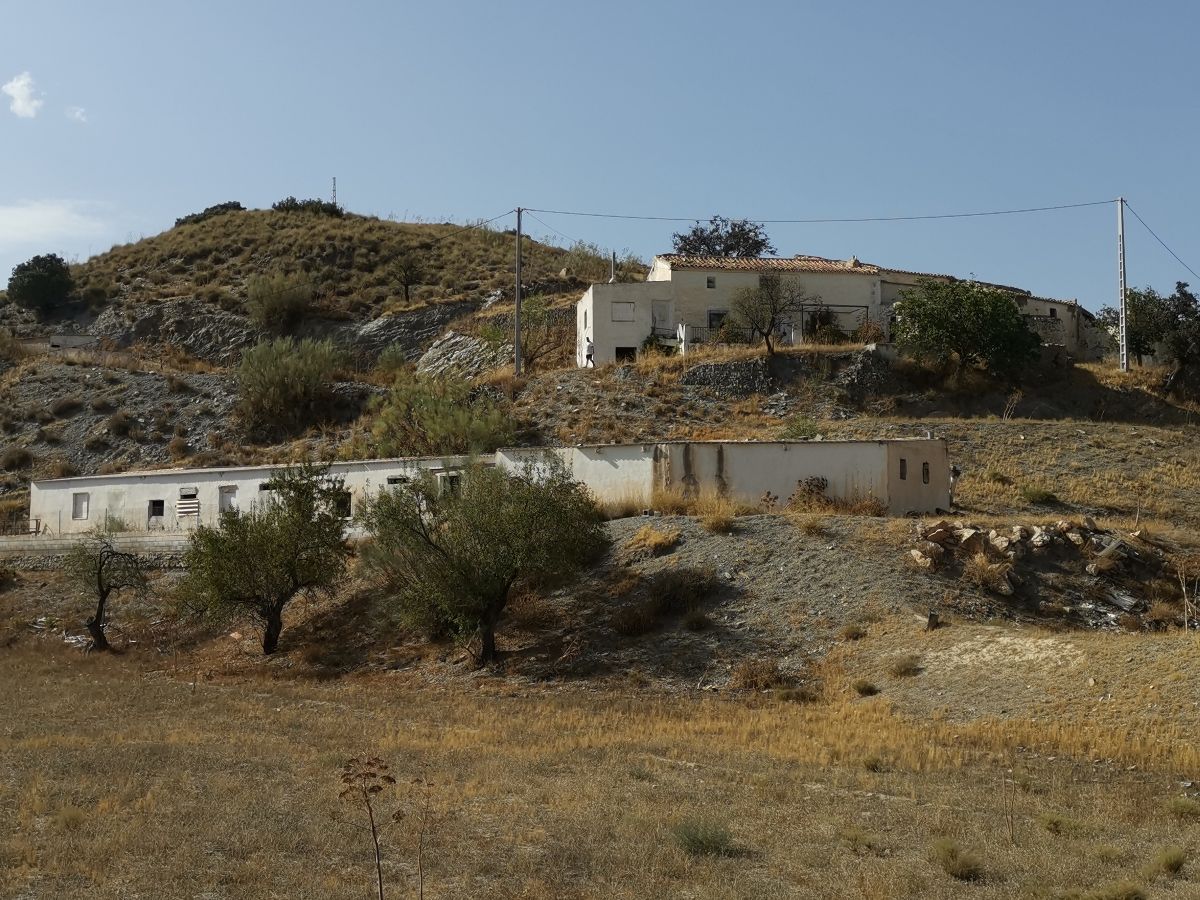 For sale of house in Taberno