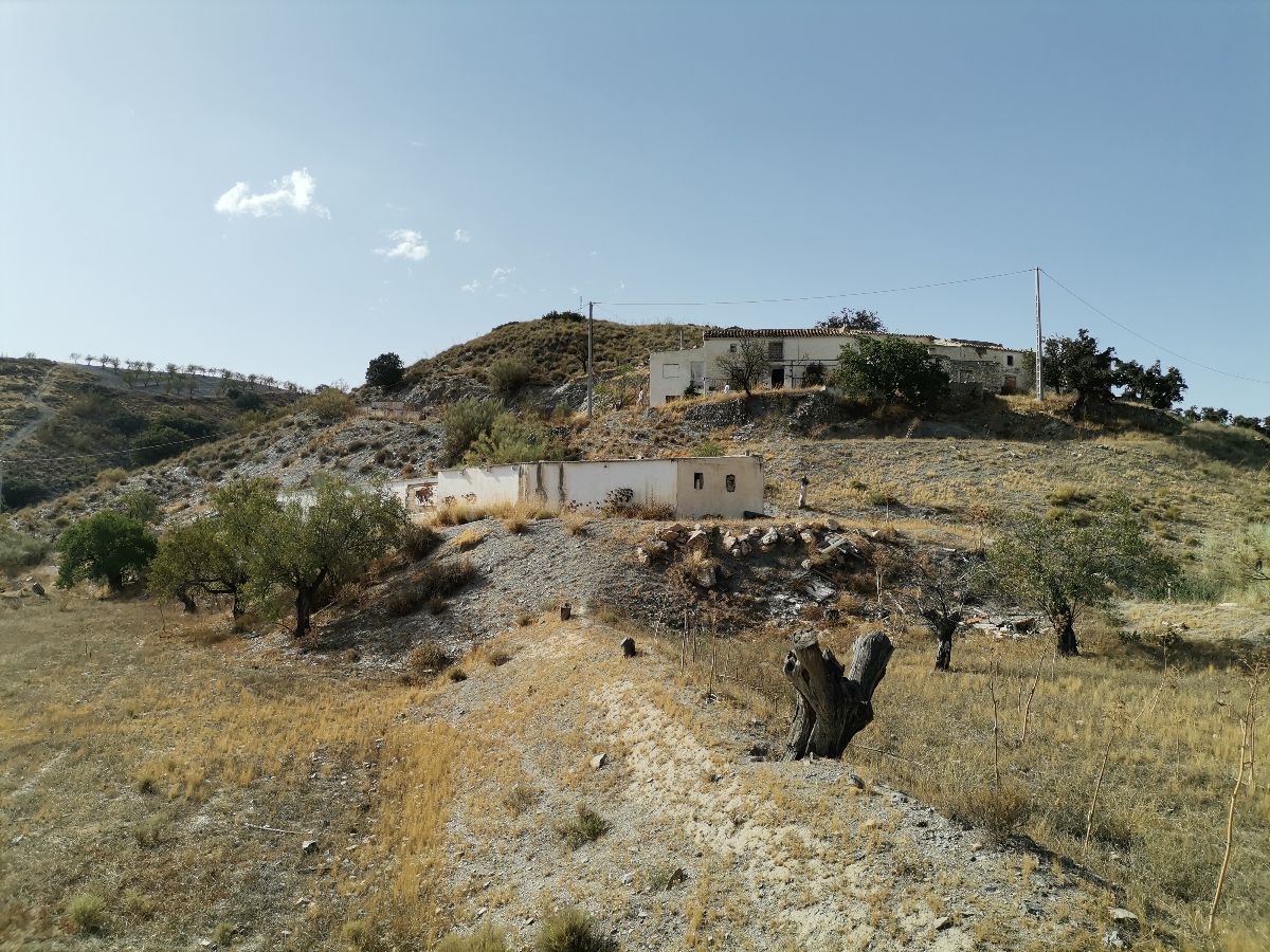 For sale of house in Taberno