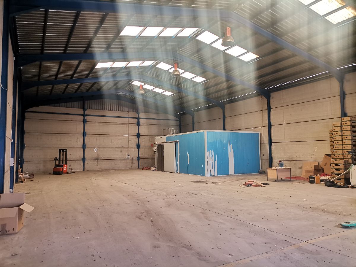 For sale of industrial plant/warehouse in Albox