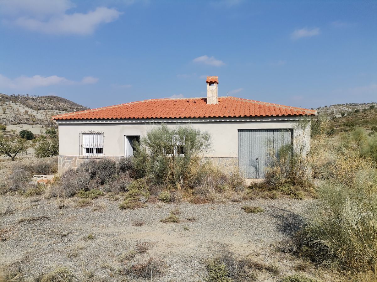 For sale of villa in Albox