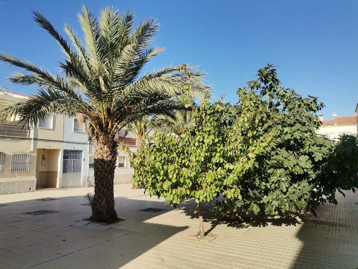 For sale of house in Zurgena