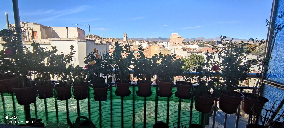 For sale of flat in Albox