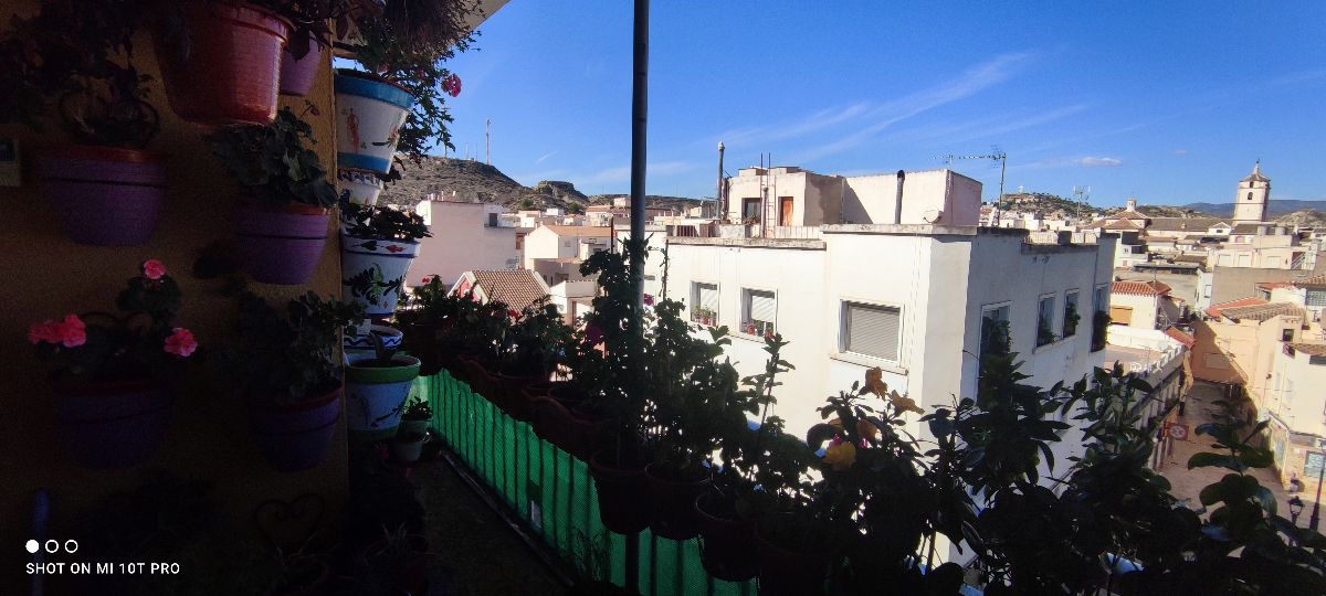 For sale of flat in Albox