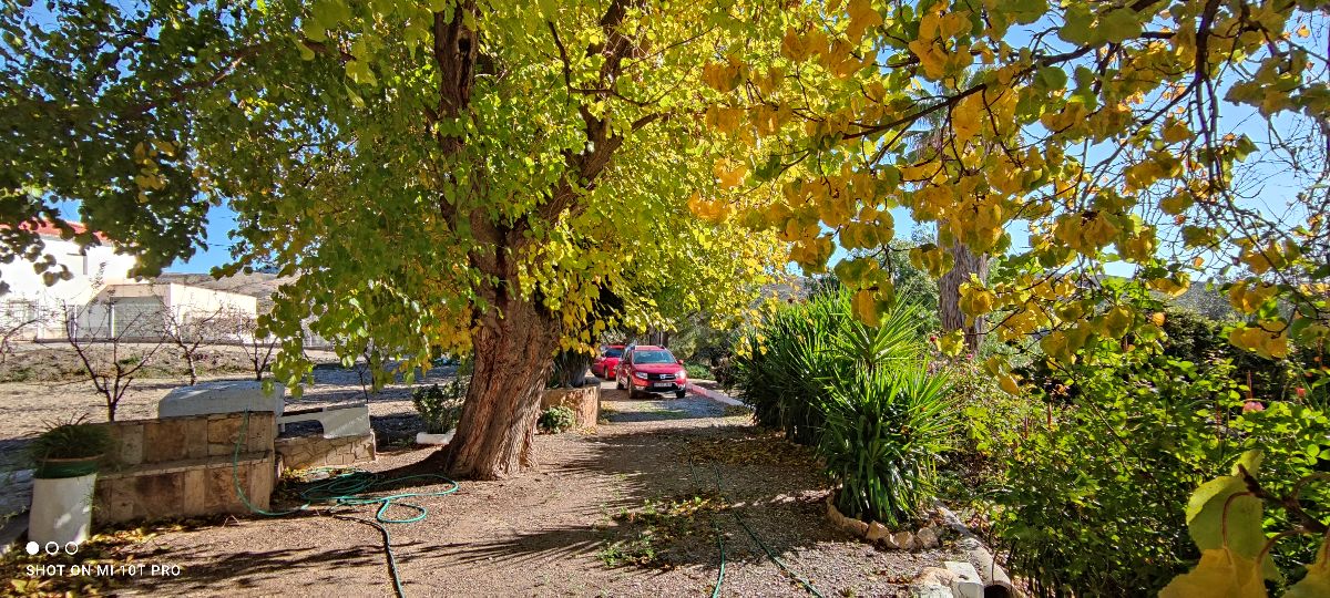 Venta de casa en Albox