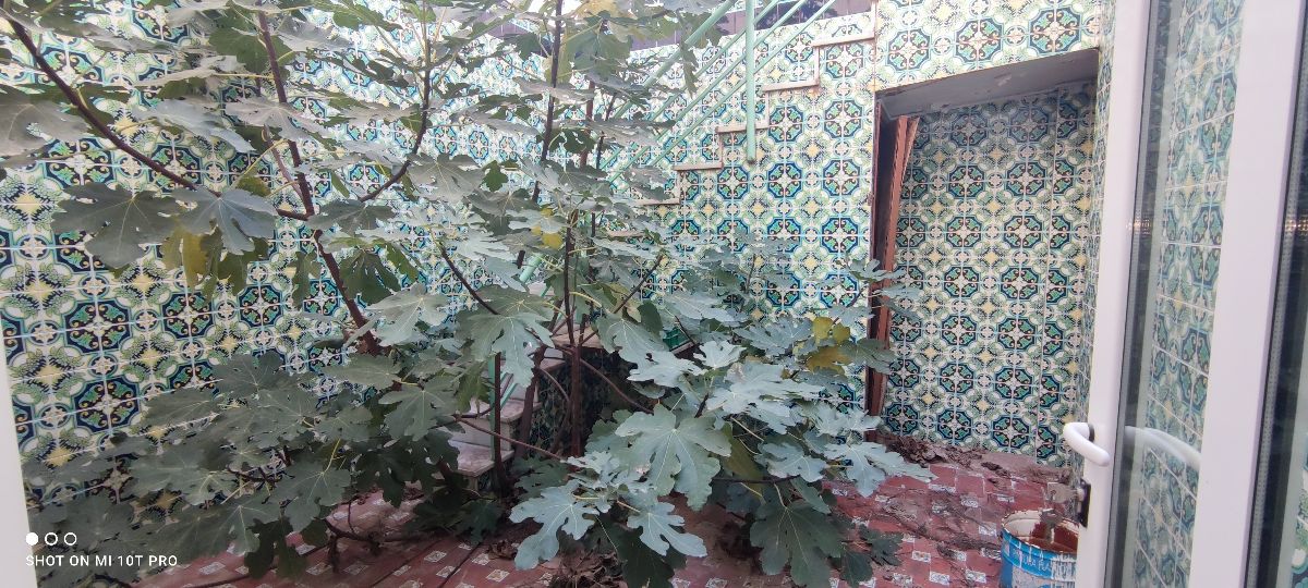 For sale of house in Albox
