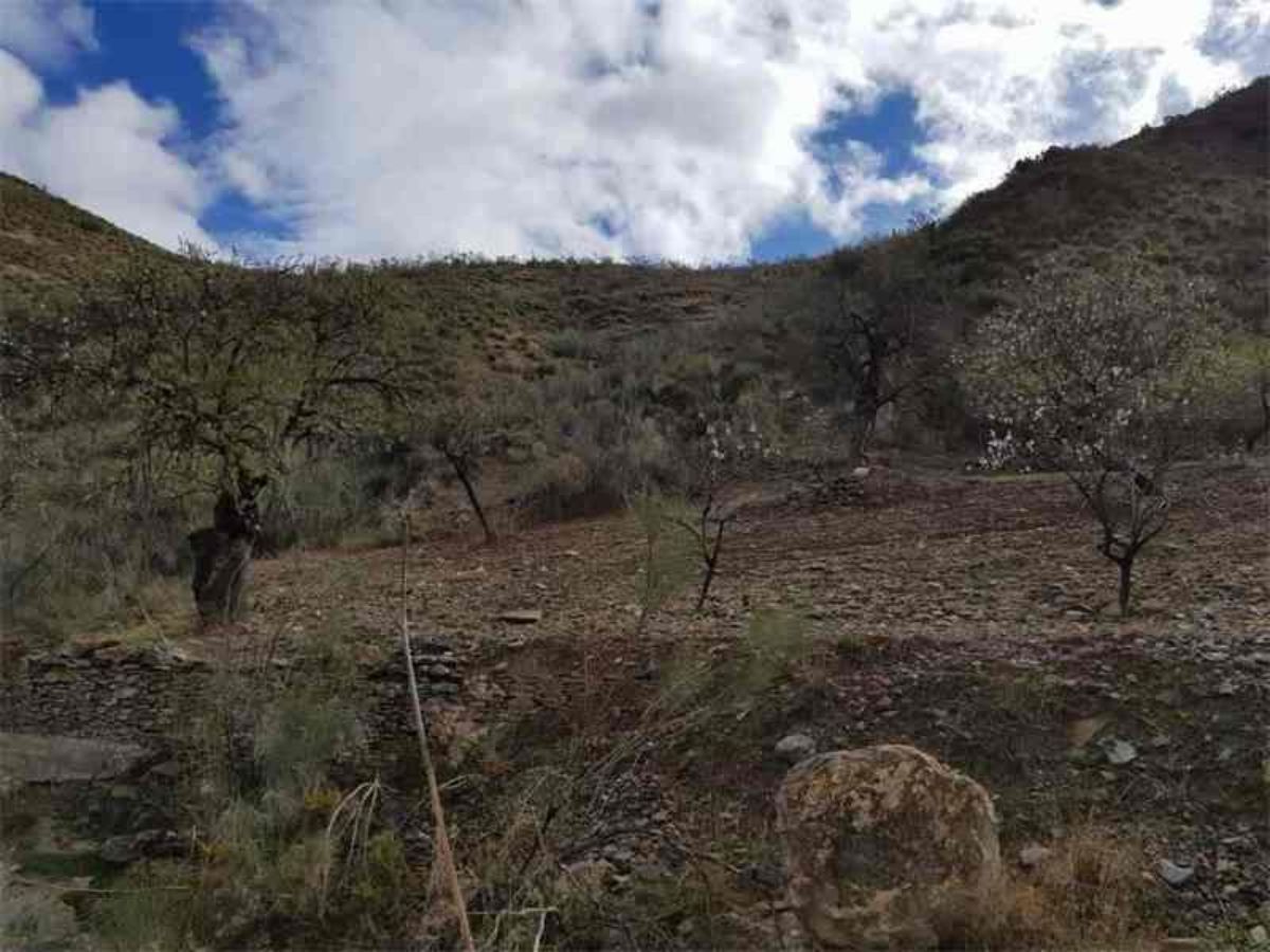 Venta de finca rústica en Albánchez