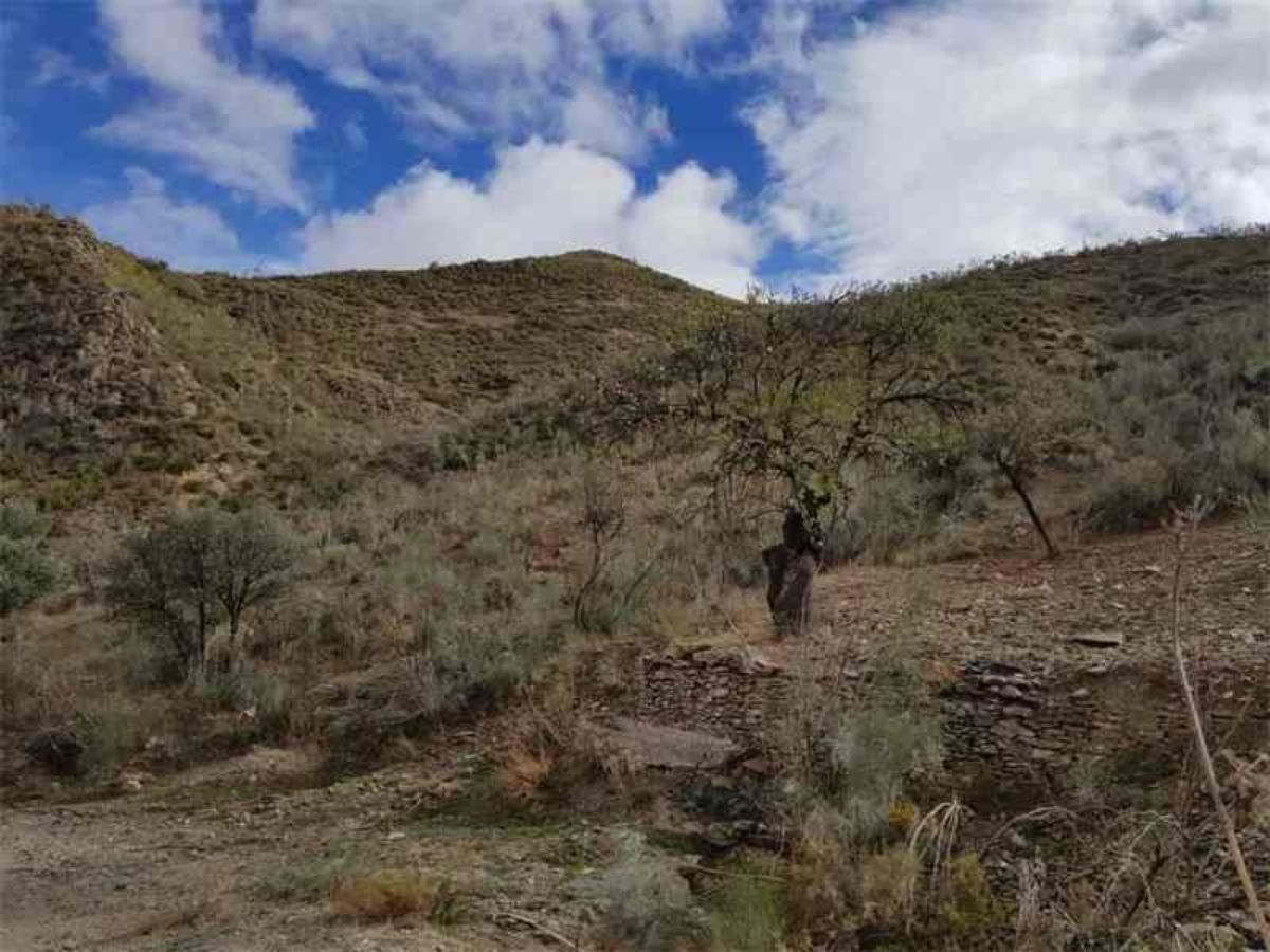 Venta de finca rústica en Albánchez