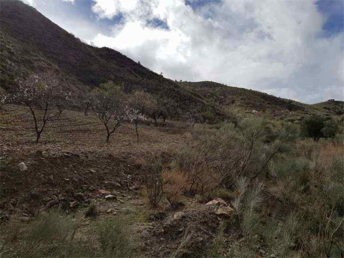 For sale of rural property in Albánchez