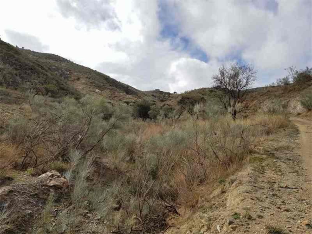 Venta de finca rústica en Albánchez