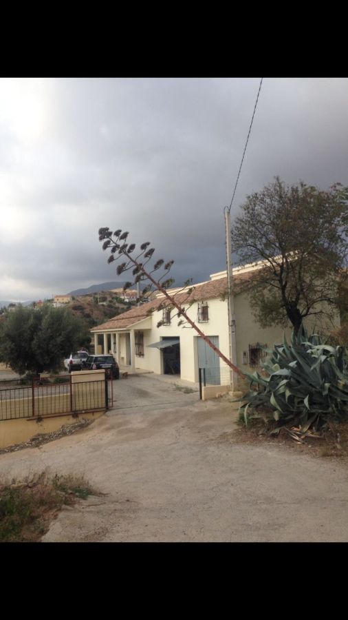 For sale of new build in Oria