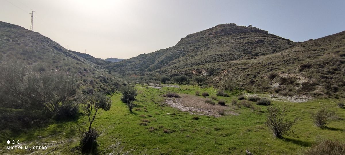 For sale of rural property in Olula del Río