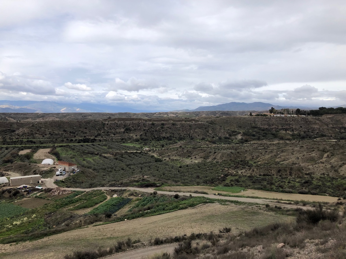 Venta de terreno en Albox