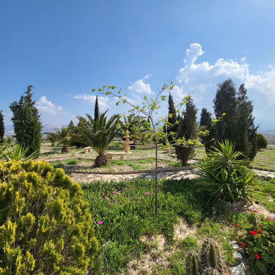 For sale of house in Olula del Río