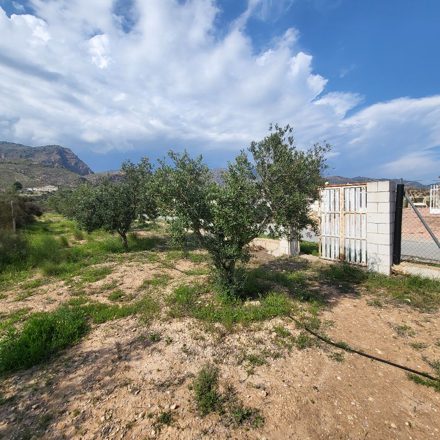 For sale of house in Olula del Río