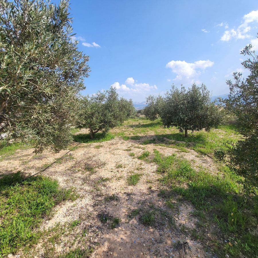For sale of house in Olula del Río