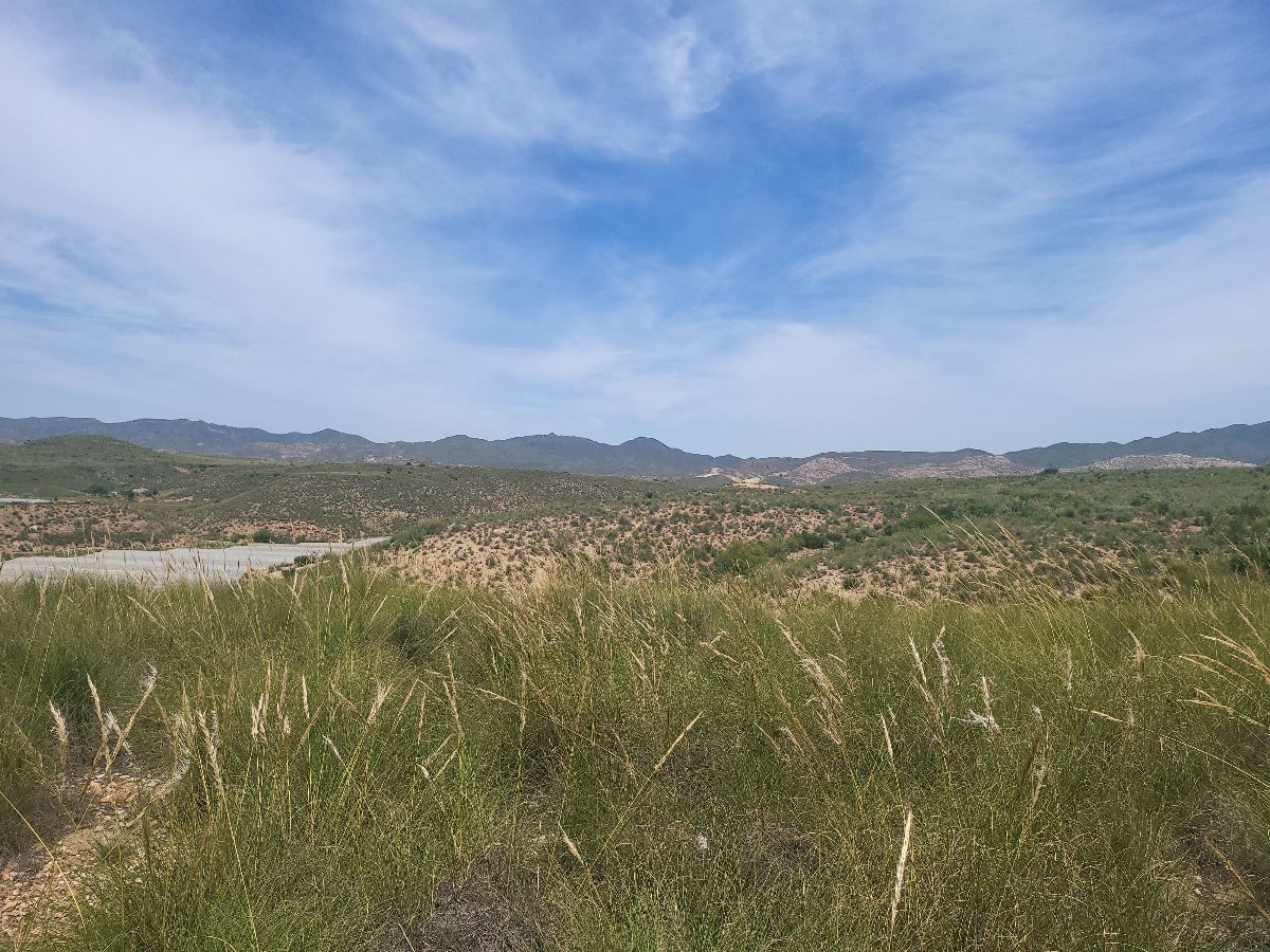 For sale of rural property in Sorbas
