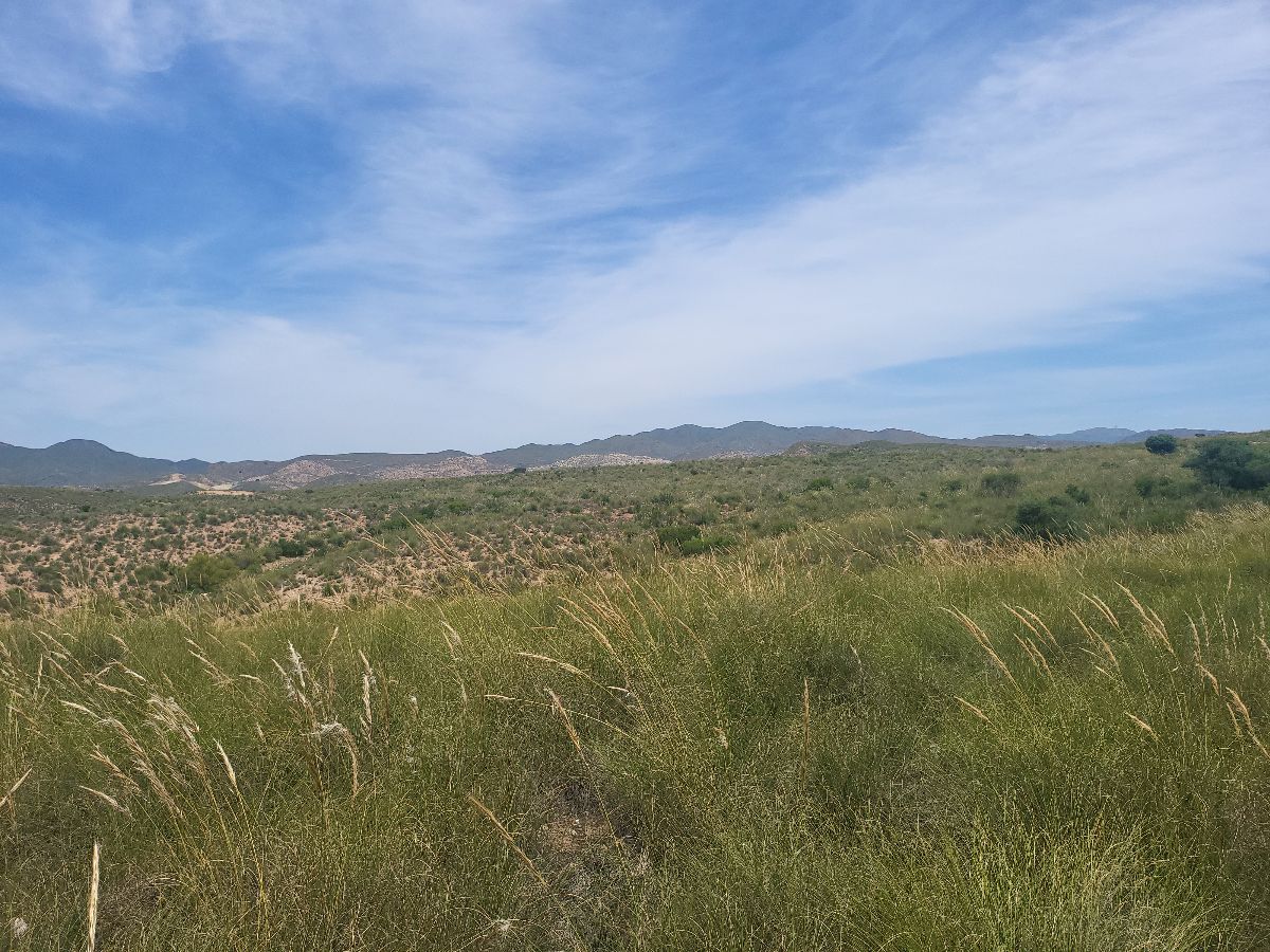 For sale of rural property in Sorbas