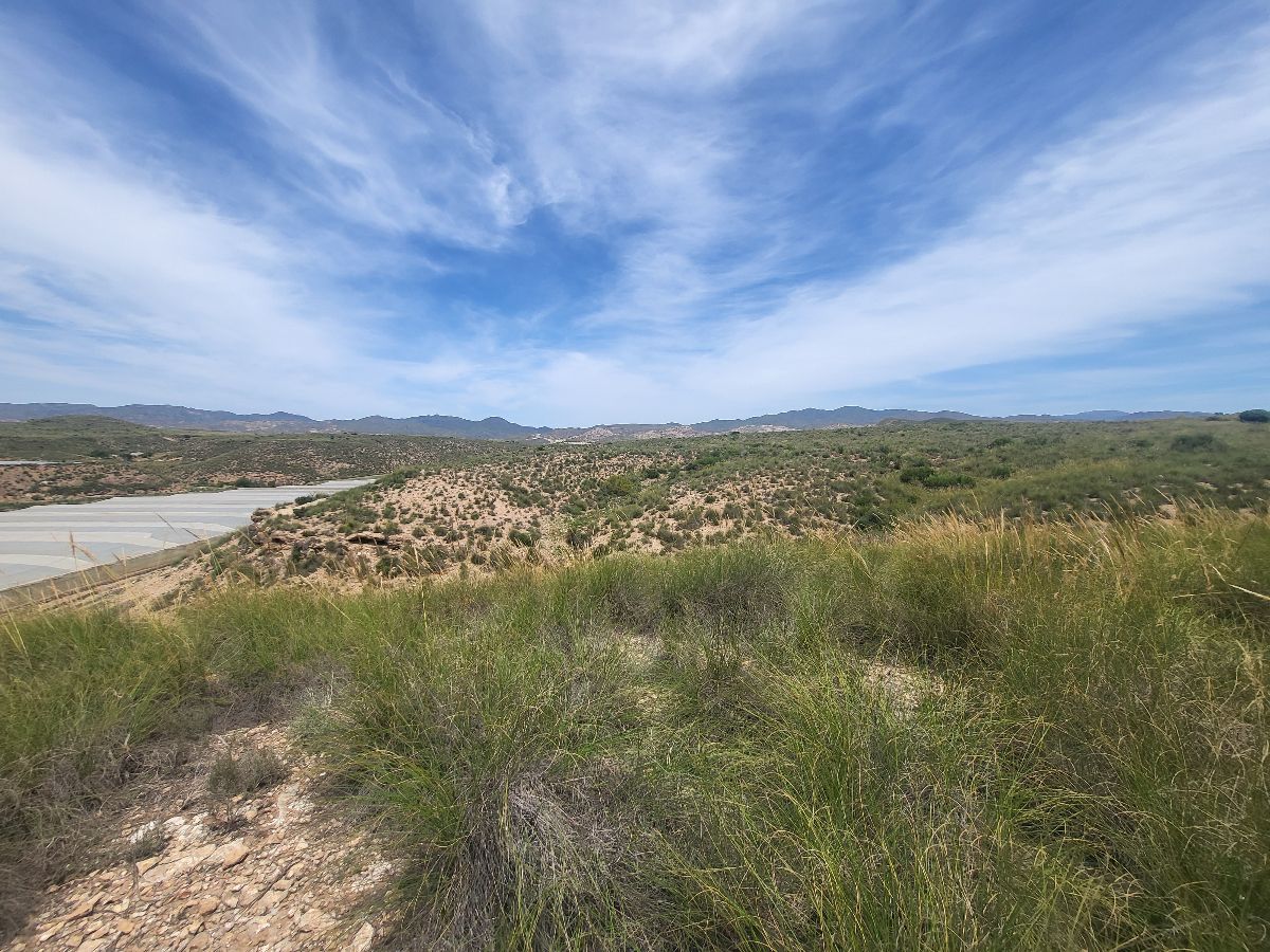 Venta de finca rústica en Sorbas