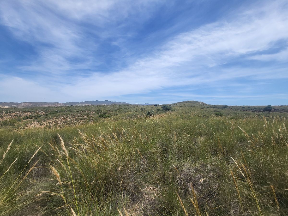 Venta de finca rústica en Sorbas