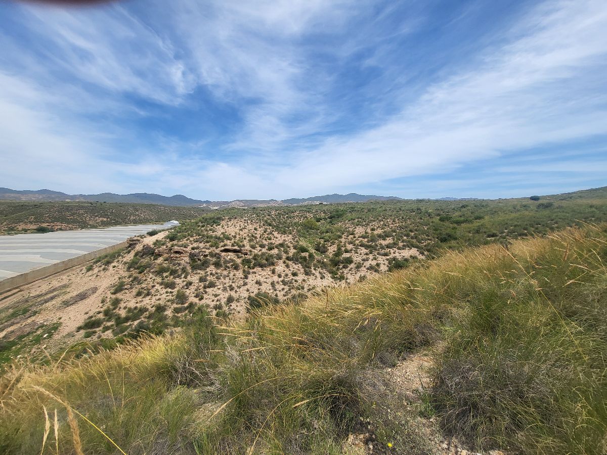 Venta de finca rústica en Sorbas