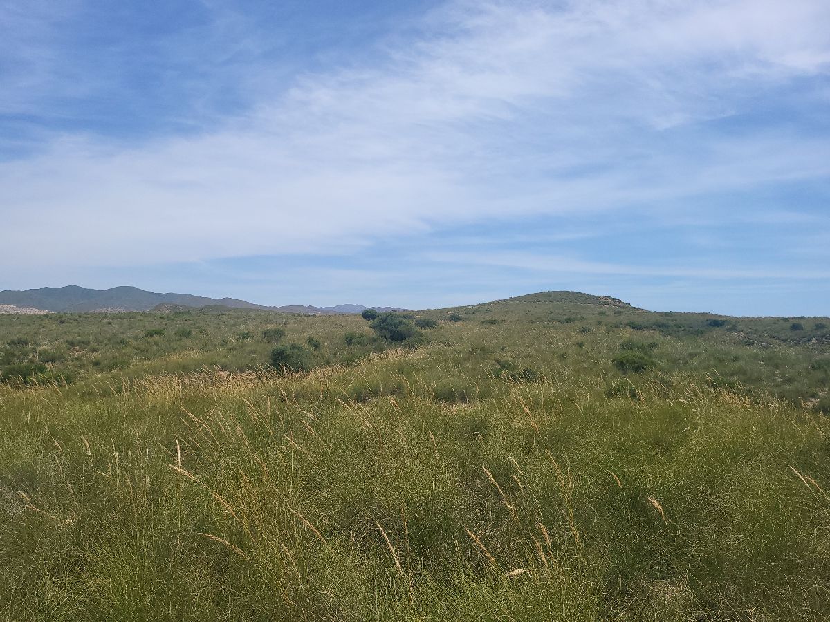For sale of rural property in Sorbas